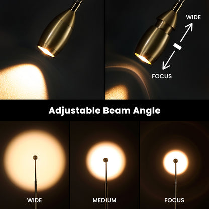Reading Floor Lamp, Dimmable LED Floor Lamp with Remote, Standing Lamp with Flexible Gooseneck, Zoomable Spotlight, Reading light, Task Crafting Tall Lamps for Living Room Office Bedroom(Gold)