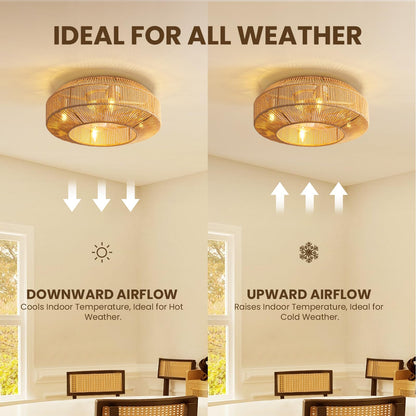 Boho 20 in. Indoor Gold Rattan Caged Low Profile Ceiling Fan with Remote Included with No Bulbs Included