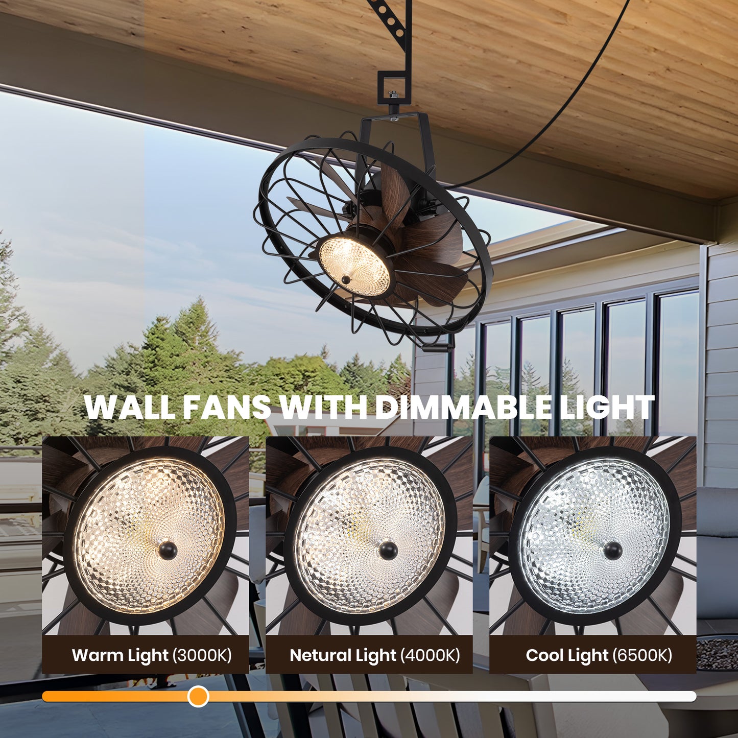 20 in. Black Indoor/Outdoor LED Waterproof Caged Wall Mount Fan with Remote and APP Control
