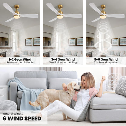 52 in. Standard Downrod Mount Indoor White and Gold 3-Blade Ceiling Fan with Integrated LED Light and Remote Included